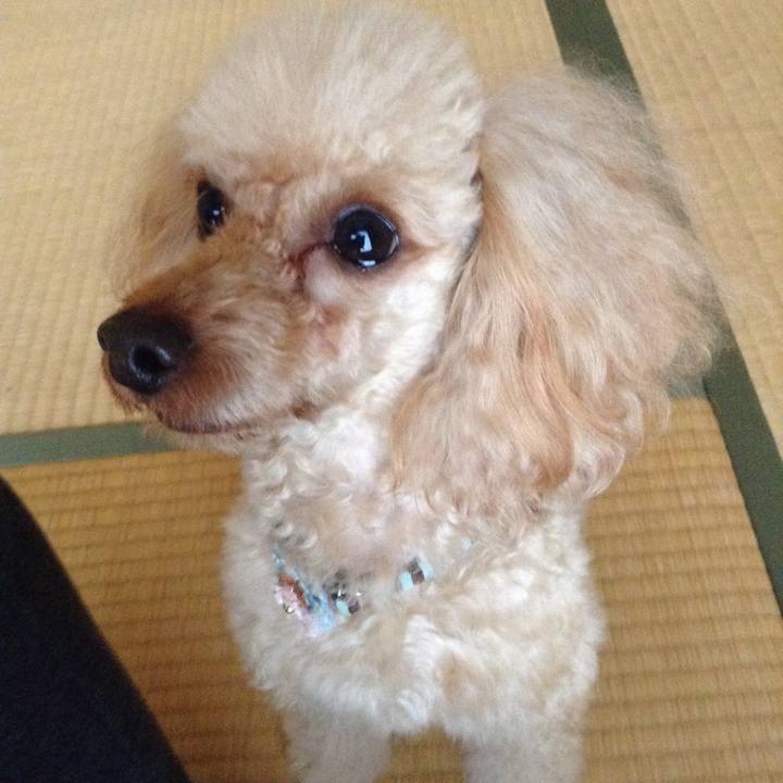 942fe614 faab 4e5a 9b27 0024ca979236