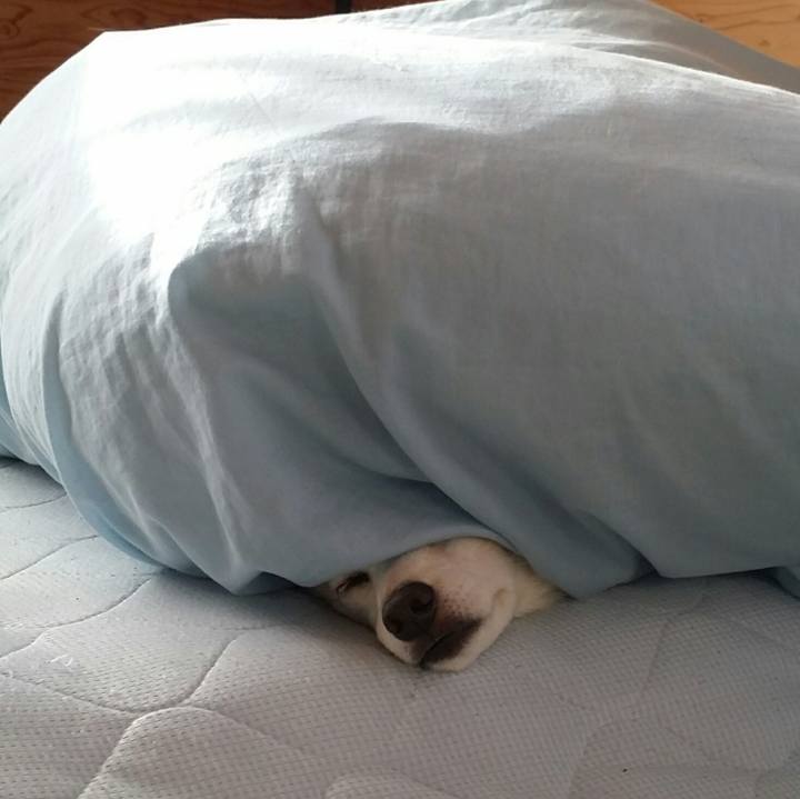 942feb8c aaa5 4a19 9ef6 a8c072d86642