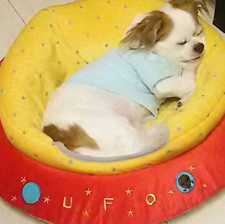 94307756 cfa4 43ab 99dd 90c71e5962be