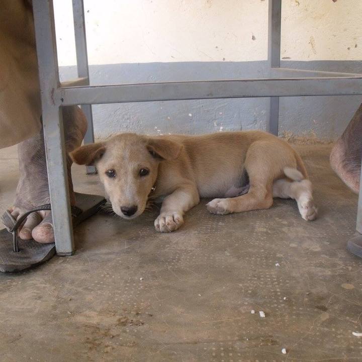 94309735 c580 45b8 bf01 5bb14a2ddd27