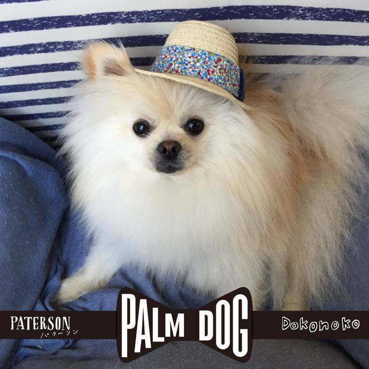 9430ec94 e69e 4aa1 9db7 65c25e4de3fd