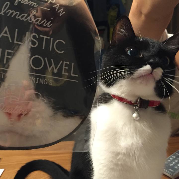 943154c4 d48c 4ef2 b719 ecb18bc7a1ca