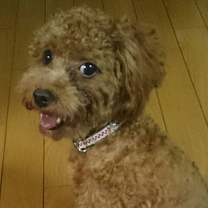 94317b33 65c0 4d79 9810 98e9f25c78c5