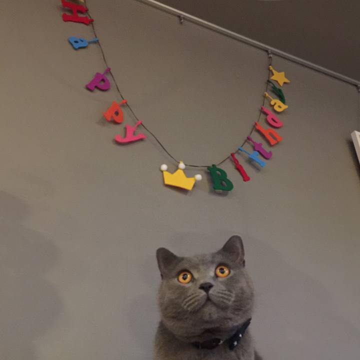 9431be42 27f9 4f8b 8474 1d1f877a9ba3