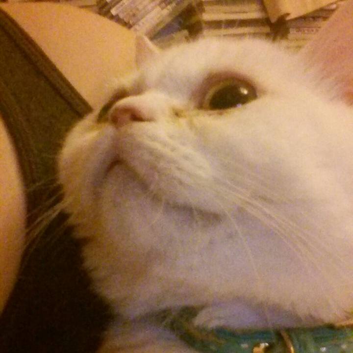 943232b8 0cd4 4fe7 bf77 747aa58f75fd