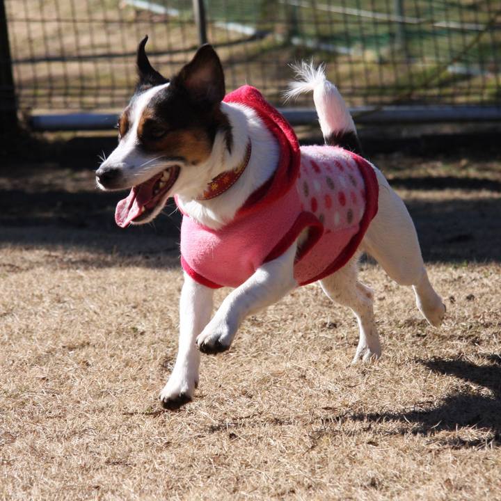 94330e5c 1238 4980 9756 613fd8d2a018