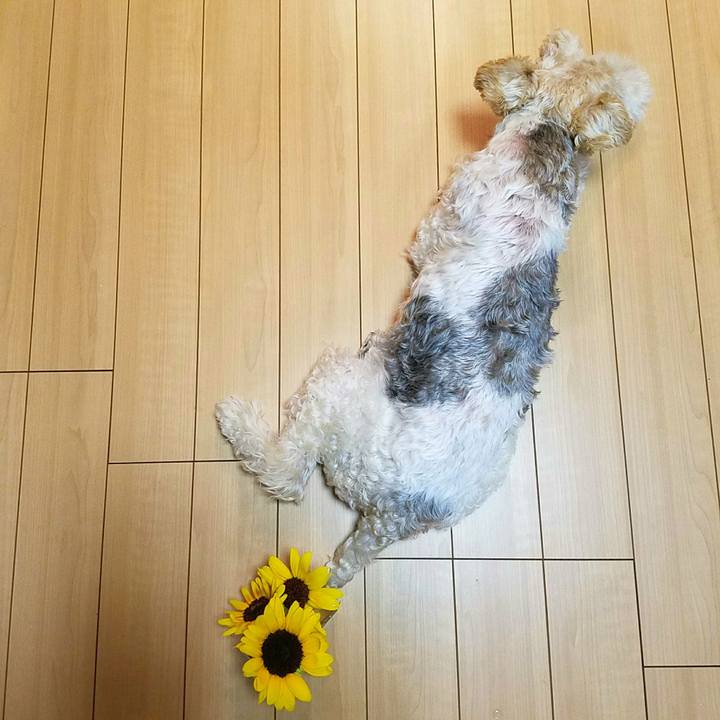 943391e5 ffaf 4d4a b3ba 024731afb852