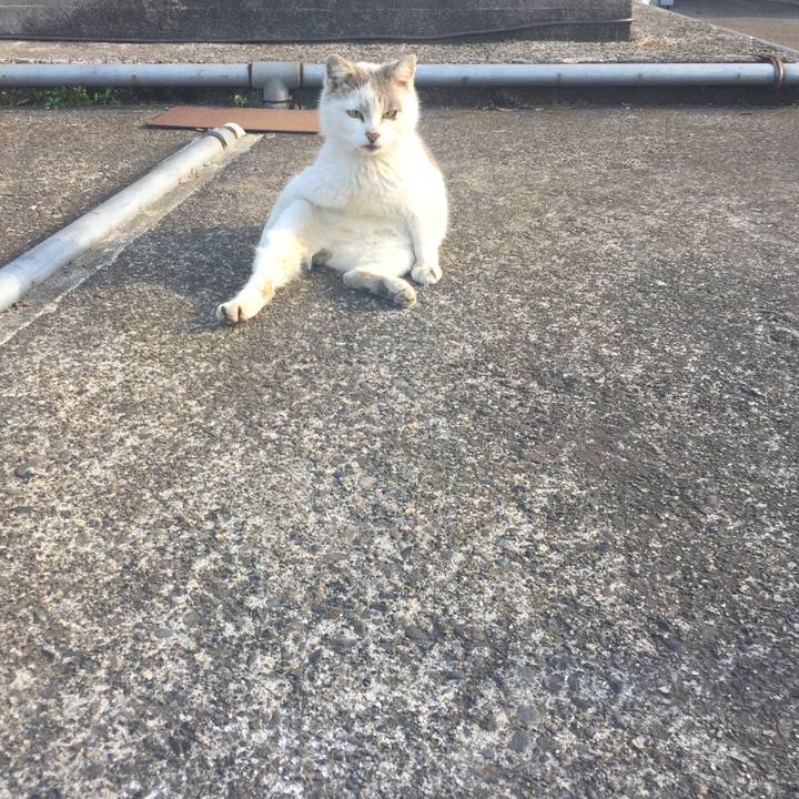 9435de37 251c 4746 bc14 5c2653c30fbf