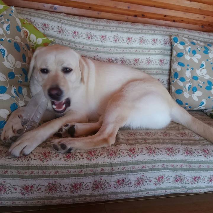 9435e963 e6f0 4dec 9e5c dc85e7b114b5