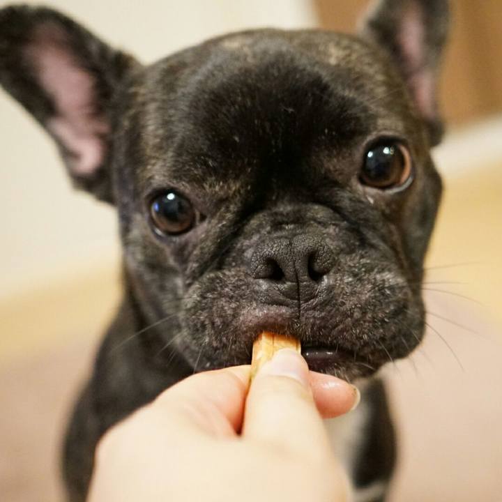 94360637 278c 46ca 9e89 149f8dcacd0e