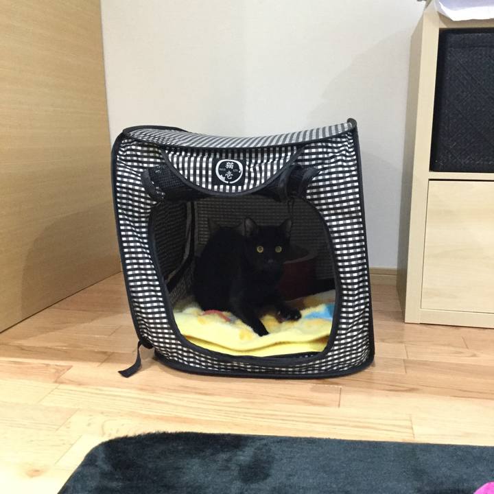 9436125c c5fb 45bf a091 fcde4ff65ed8