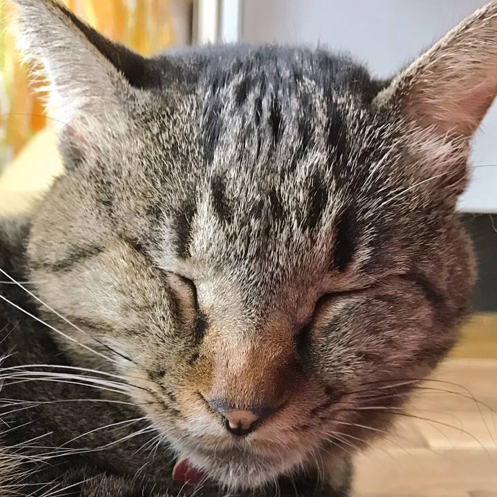 9436913d ae25 4cdd 9a47 d991949c0fb7