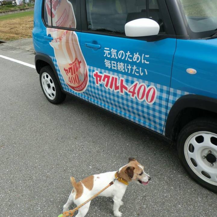 9436f384 a4bd 4231 9ebd bef1d5a5e9a7