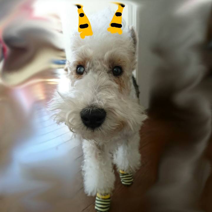 9436fcc8 03af 4976 9c6f e88ecbd52a95