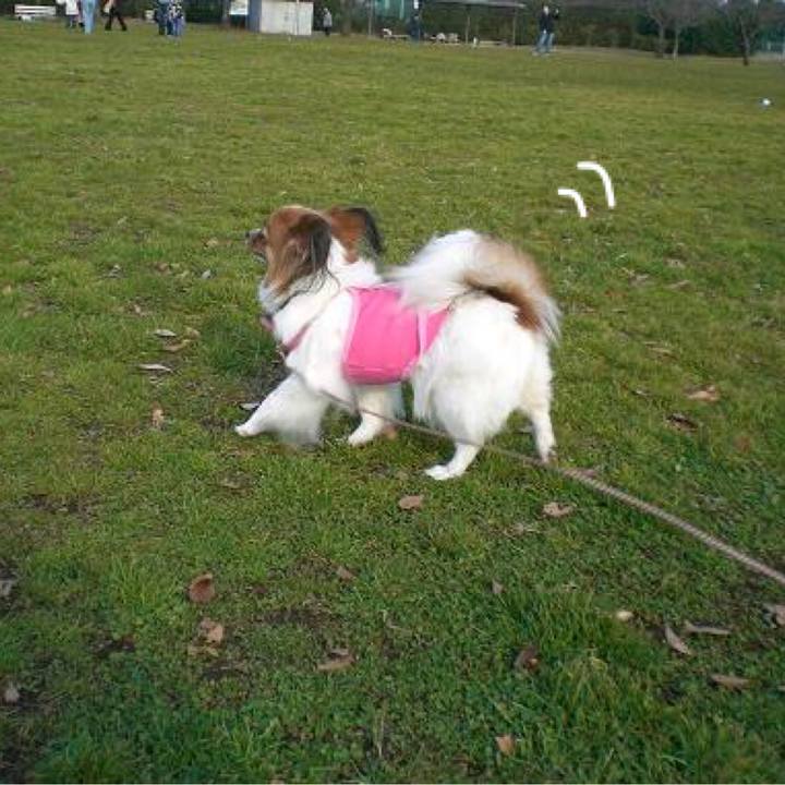 94370655 e92c 4538 9b65 5342385f9242