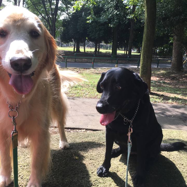 9437db9d c8be 4c4c 9f19 a7765d1067bf