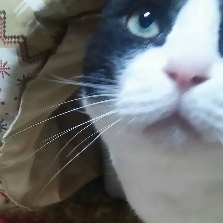 94383ec8 dcb6 4756 bd5a 31220ef3ac82