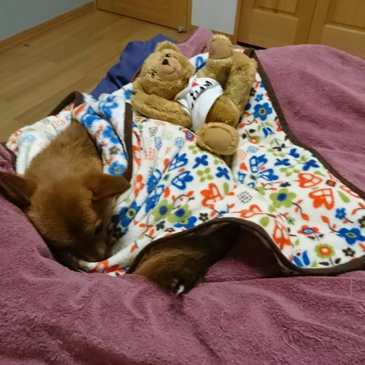 94384595 f269 4988 af6c f3f883424461