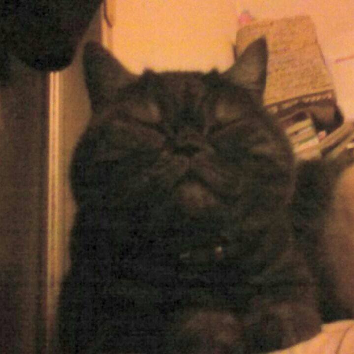 9438ca3a f6b8 44f0 a97b 900125be28e2