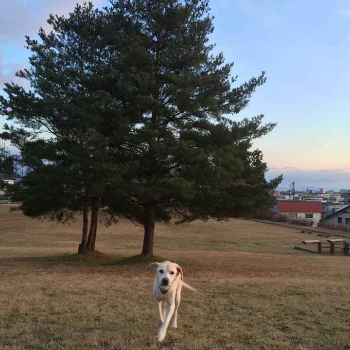 943aab4c b7c0 49cf 8cdc 54d5645c7474