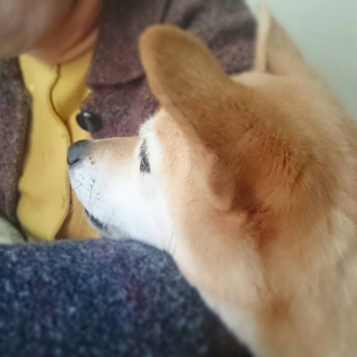 943b40cb d6cc 416c bb16 ee3083bd413e