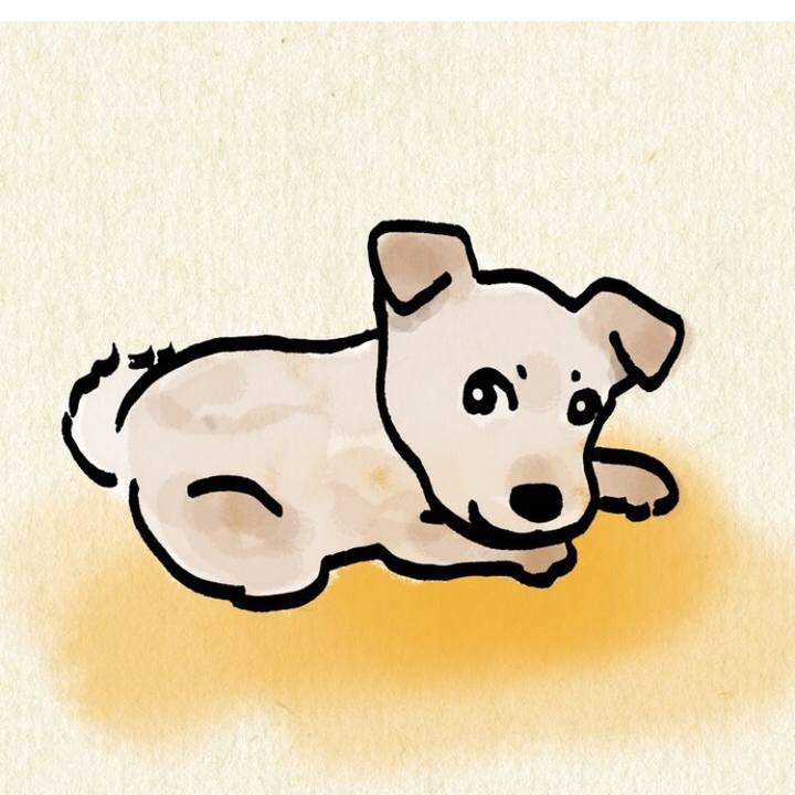 943bbb85 bbd3 4b1c a9c2 95dad0ae299b