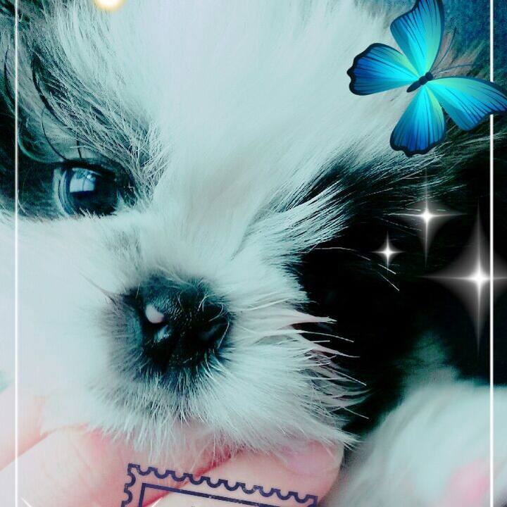 943bf988 2cae 4db4 bc55 d721bc5044b6