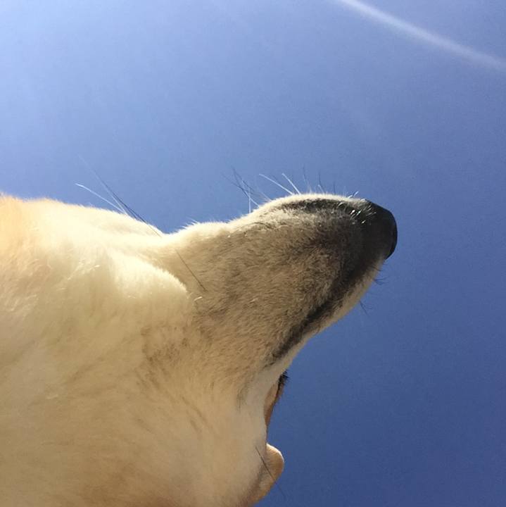 943c28e7 c2c0 4f5e 9fea b1a2a1deb0ea