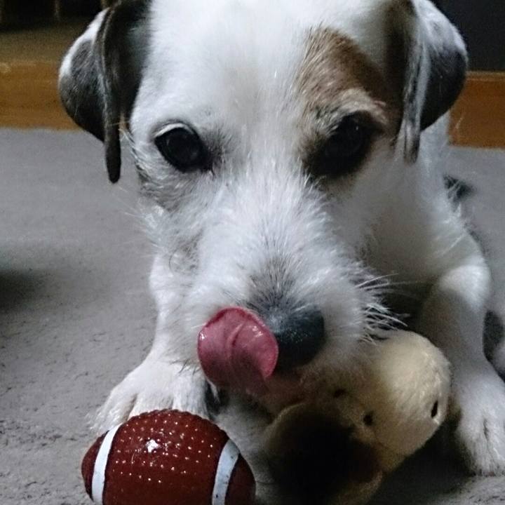 943c711f a3c8 4cf0 b5f8 94fc732e08f6