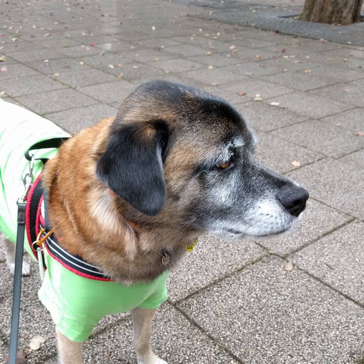 943c896b 8424 4524 b313 24a97ef865d7