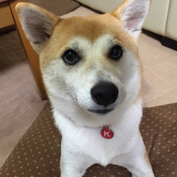 943ce4ac 7f7c 4766 aa8f 3ecc7629f453