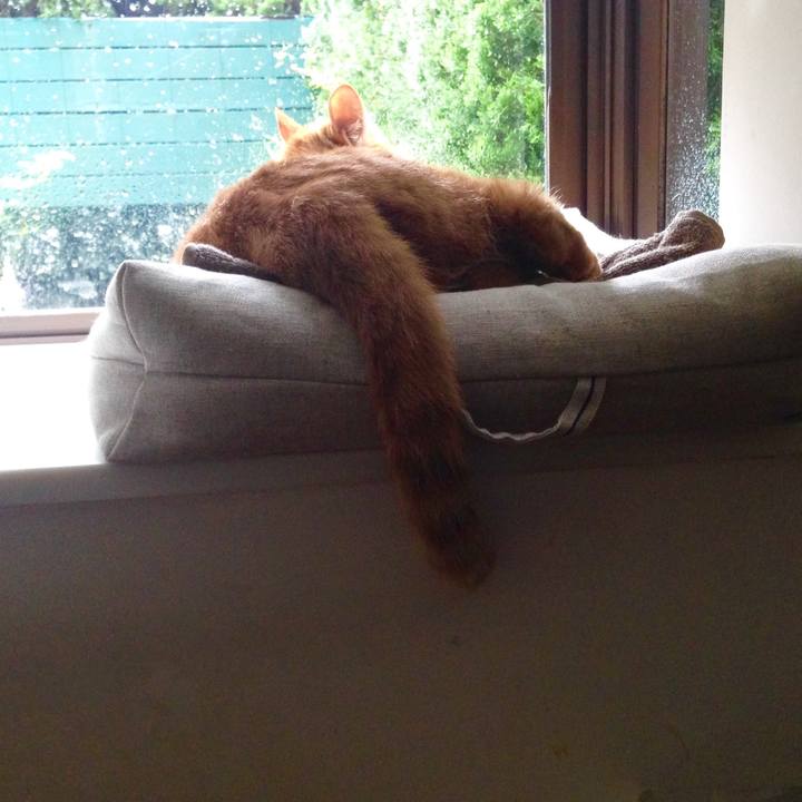 943d4a8c 5b57 4878 9d5a e9cb9c8355a0