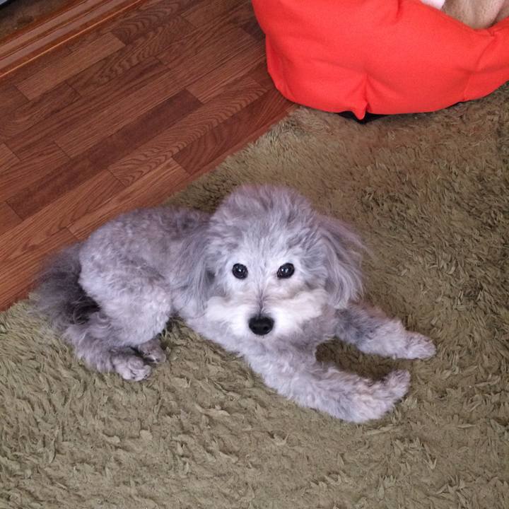 943dd5b8 f865 46bd a3c7 c20a169a15d3