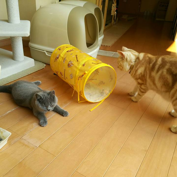 943dd8d2 7737 4cd1 8ab4 621a02ee9edf