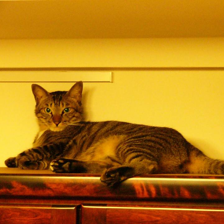 943f32ad 3b62 40eb 96ad a697bb190c13