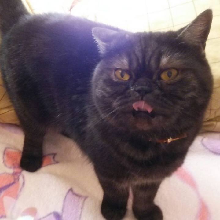 94402514 646e 4657 9407 6680b9449b9e