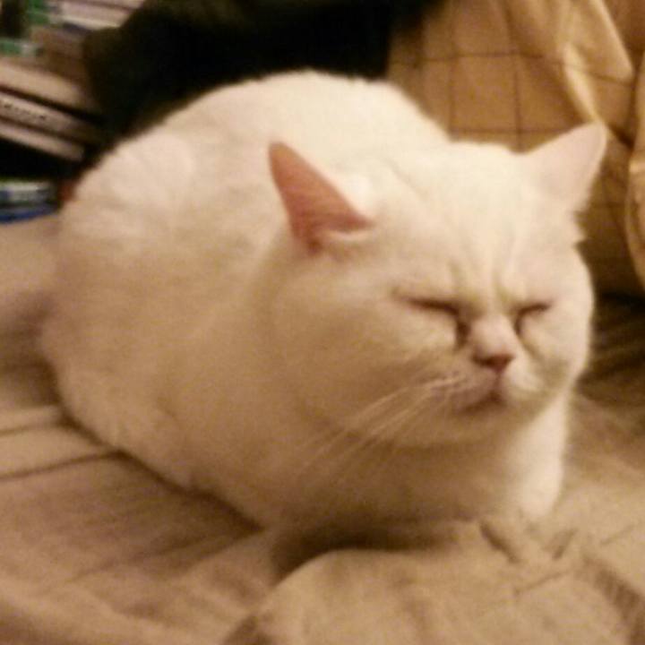 94403d49 a19d 467f b392 569e06dc364b