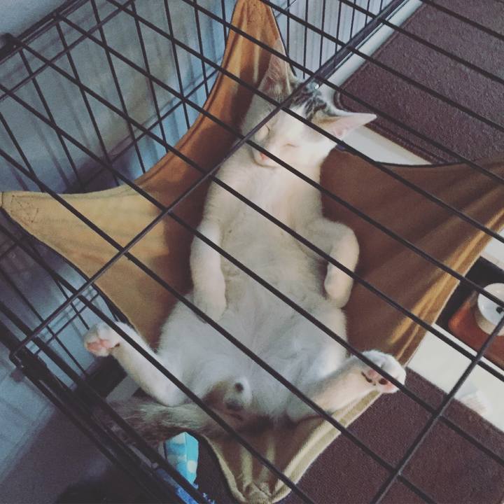 944042c0 6e0d 4c6c b98f 711079bd7b3c