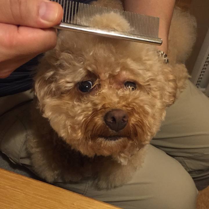 94404df7 12b9 473d 98d4 643642f42de3