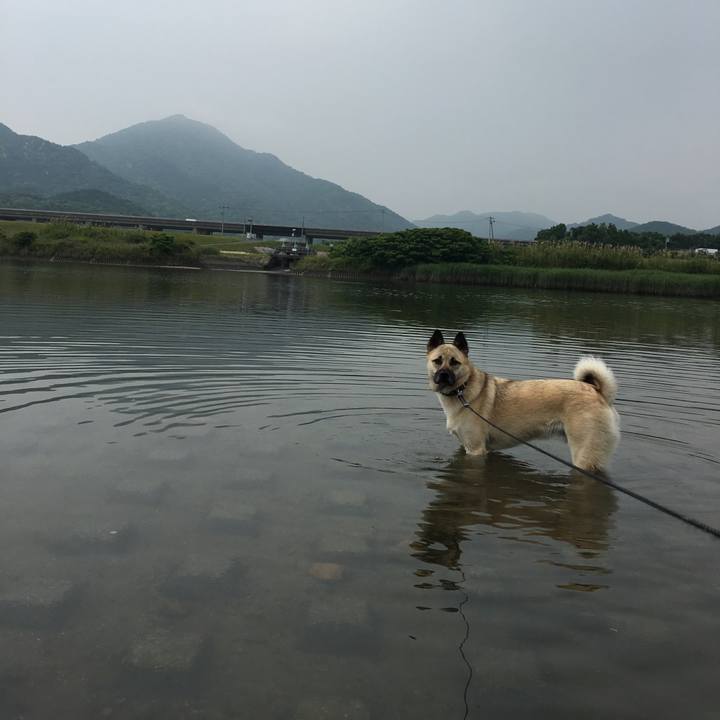 9440da56 fec8 4325 91a3 0941f6bc3041