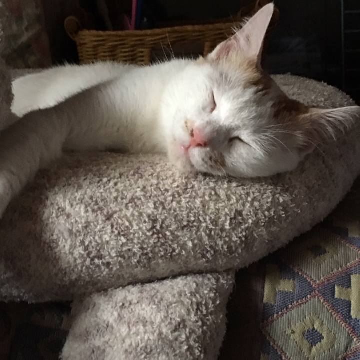 9440e188 de47 46be 824f 5a2487fbc9a5