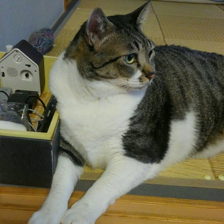 9440f2f6 00f4 4a65 8768 7f4cc1b718c6