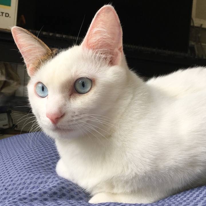 94413f4f ba92 4dff 84fd cc94c1a3d292