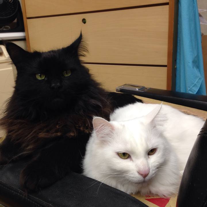 94416df5 2742 4085 b5f3 edca4c6c2e96