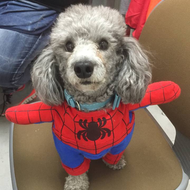 9441ee89 48e5 4973 b9e7 3823b3ffa7b7