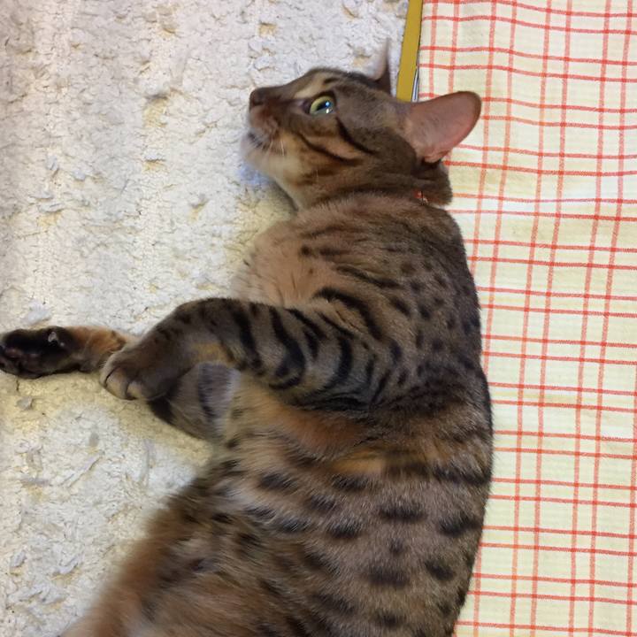 94421d42 f76c 44cb 8d9b d15e269a6e72