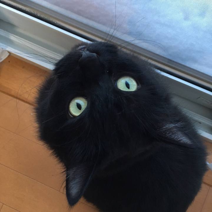 9442632a c903 426c b4db 6a046d46ea3d