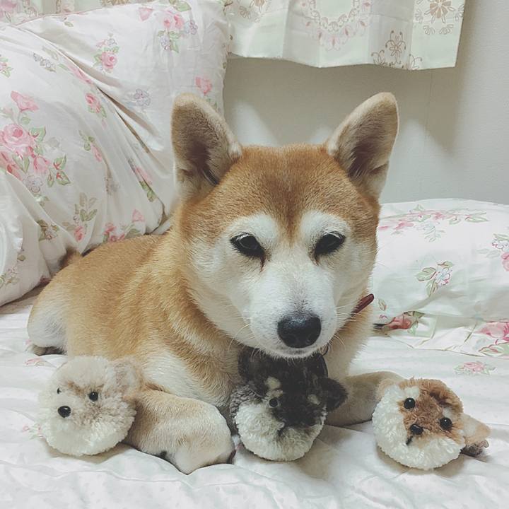 944350e6 e76f 4168 9fc5 657e9f6075c9