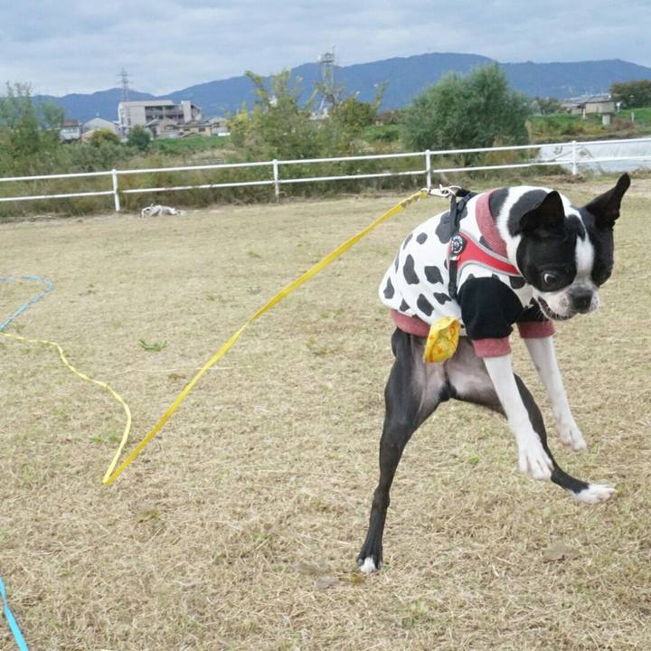 944352d4 9269 457c 844e 14352c0ad1ab