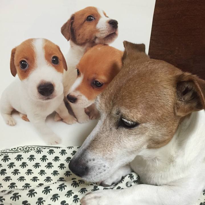 94435a23 d115 4ca8 b303 103fc024fb42